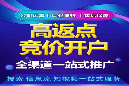sem竞价托管代运营——广告优化的典范案例